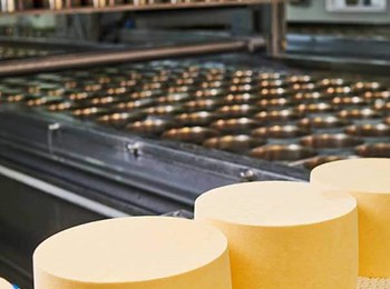 Case Study COD Reduction Dairy